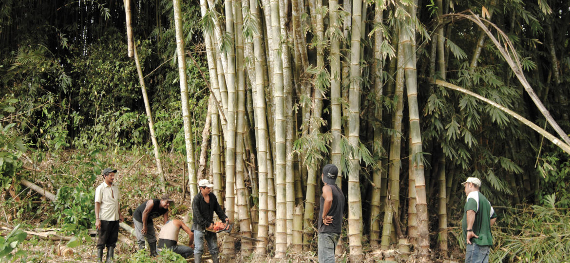 Bambu Social