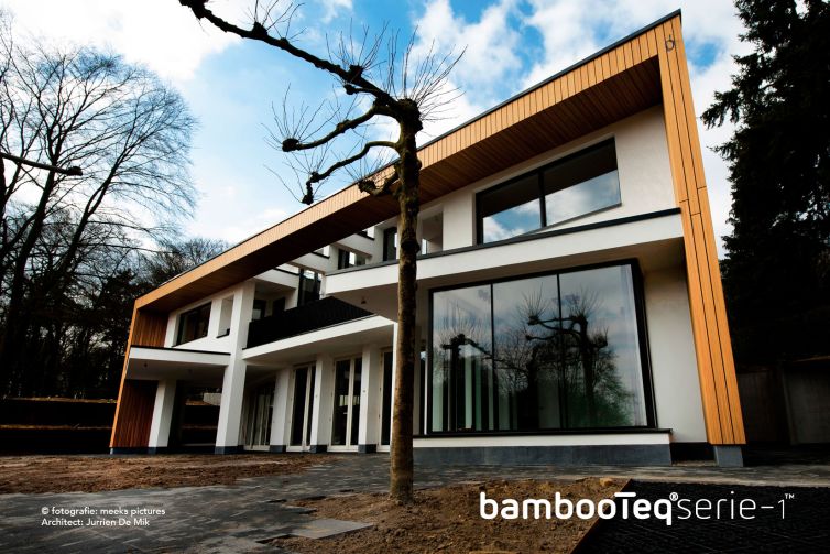 Bamboe