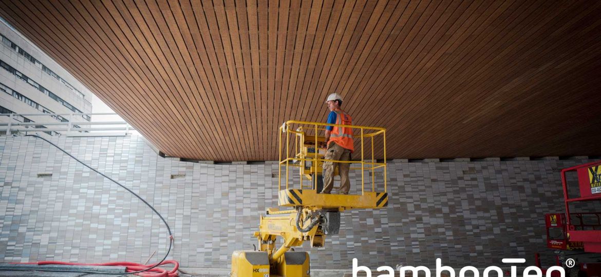 Bamboe_tunnel_Leiden_Bambooteq